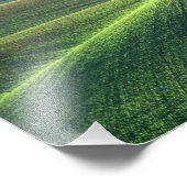 Impression Photo Blé jaillit dans les collines de la Palouse (Coin)