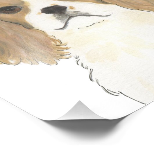 Impression Photo Blenheim Cavalier King Charles Spaniel (Coin)