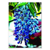 Impression Photo Bleu (Devant)