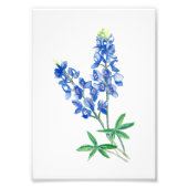 Impression Photo Bleu 1 (Devant)