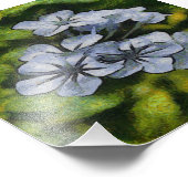 Impression Photo Bleu Bleu Bleu Plumbago (Coin)