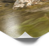 Impression Photo Bleu Grosbeak à boire à l'étang jardin, (Coin)