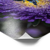 Impression Photo Bleu Rare Élephant Beetle (Coin)