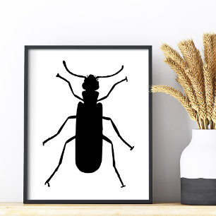 Impression Photo Blister Beetle Silhouette