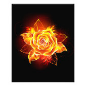 Impression Photo Blooming Fire Rose (Devant)