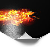 Impression Photo Blooming Fire Rose (Coin)