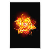 Impression Photo Blooming Fire Rose (Devant)