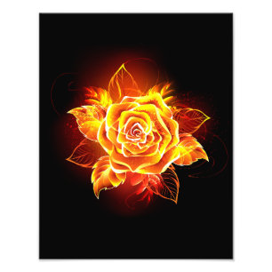 Impression Photo Blooming Fire Rose