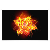 Impression Photo Blooming Fire Rose (Devant)