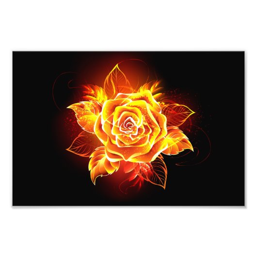 Impression Photo Blooming Fire Rose (Devant)