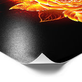 Impression Photo Blooming Fire Rose (Coin)