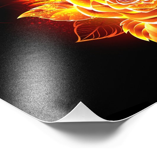 Impression Photo Blooming Fire Rose (Coin)