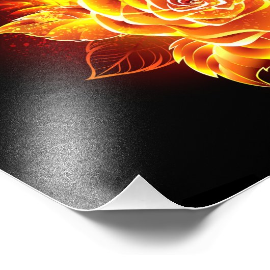 Impression Photo Blooming Fire Rose (Coin)