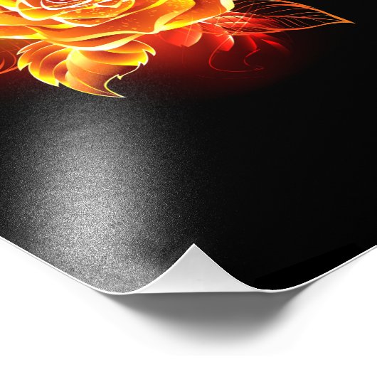 Impression Photo Blooming Fire Rose (Coin)