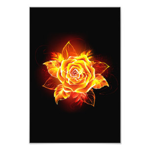 Impression Photo Blooming Fire Rose