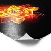 Impression Photo Blooming Fire Rose (Coin)