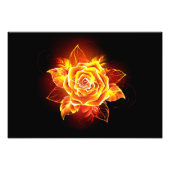Impression Photo Blooming Fire Rose (Devant)