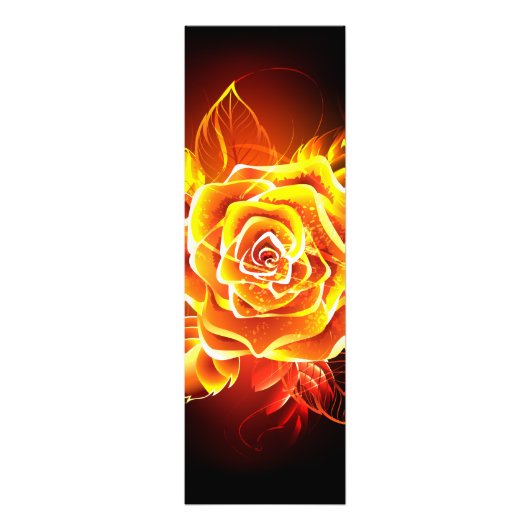 Impression Photo Blooming Fire Rose (Devant)