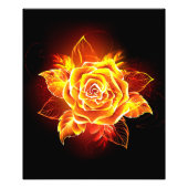 Impression Photo Blooming Fire Rose (Devant)