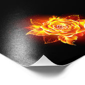 Impression Photo Blooming Fire Rose (Coin)