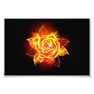 Impression Photo Blooming Fire Rose