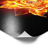Impression Photo Blooming Fire Rose (Coin)