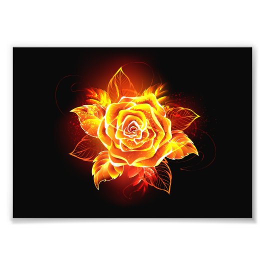 Impression Photo Blooming Fire Rose (Devant)