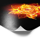 Impression Photo Blooming Fire Rose (Coin)