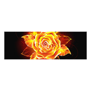 Impression Photo Blooming Fire Rose
