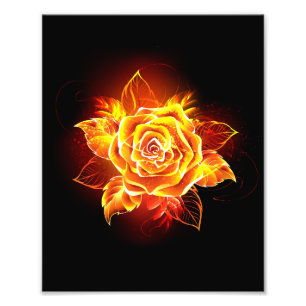 Impression Photo Blooming Fire Rose