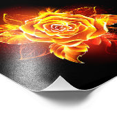 Impression Photo Blooming Fire Rose (Coin)