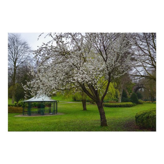 Impression Photo Blossom (Devant)