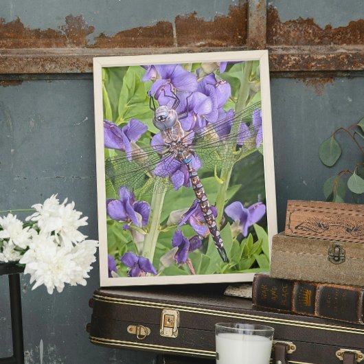 Impression Photo Blue-Eyed Darner Dragonfly on Purple Aconite