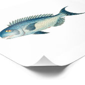 Impression Photo Blue Fish Beach Nautique Salle de bain de mer (Coin)