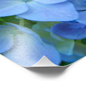 Impression Photo Blue Floral Hydrangeas Fleurs imprimés d'art (Coin)