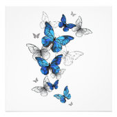 Impression Photo Blue Flying Butterflies Morpho (Devant)