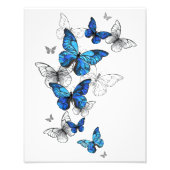 Impression Photo Blue Flying Butterflies Morpho (Devant)