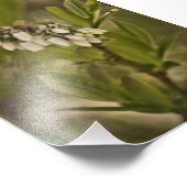 Impression Photo Blueberry 585 (Coin)