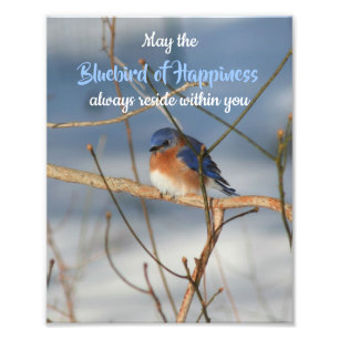 Impression Photo Bluebird Of Happiness Inspirational 8x10