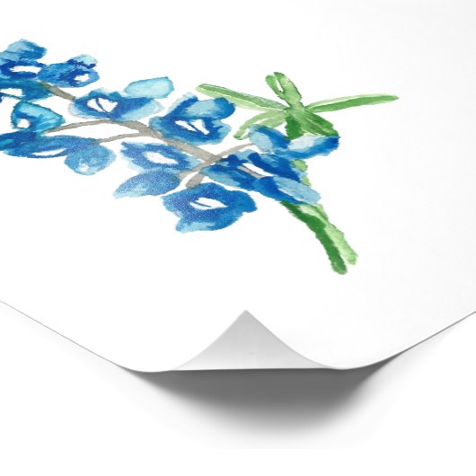 Impression Photo Bluebonnet 2 (Coin)