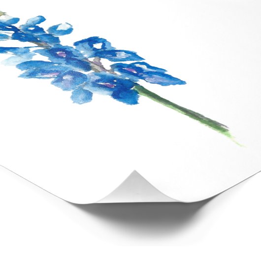 Impression Photo Bluebonnet 5 (Coin)