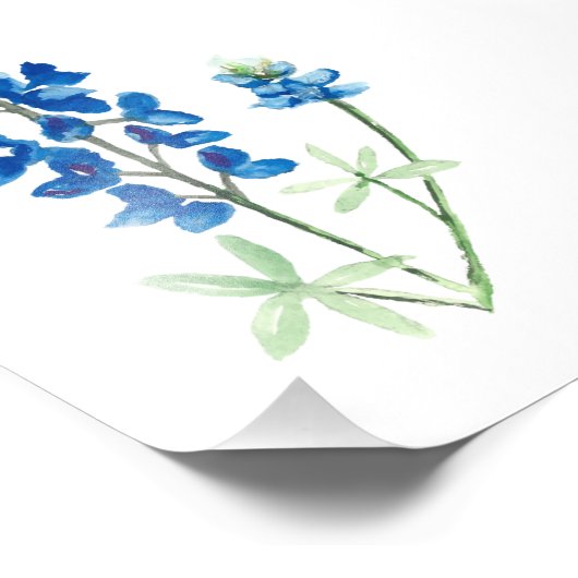 Impression Photo Bluebonnet 6 (Coin)