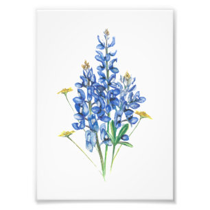 Impression Photo Bluebonnet et Fleur sauvage