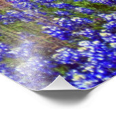 Impression Photo Bluebonnet Rock #2 (Coin)