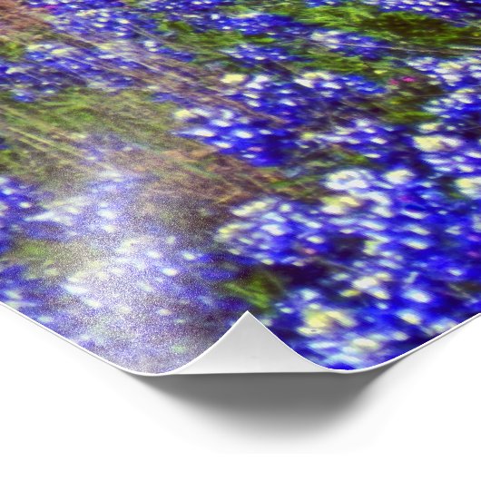 Impression Photo Bluebonnet Rock #2 (Coin)