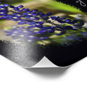 Impression Photo Bluebonnet "Texas, la maison de mon coeur" Imprime (Coin)