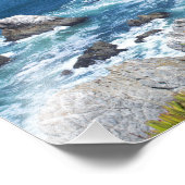 Impression Photo Bodega Head Côte accidentée et sentier (Coin)