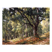 Impression Photo Bodmer Oak (Devant)