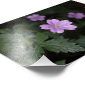 Impression Photo Bois (Coin)