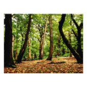 Impression Photo Bois d'automne (Devant)